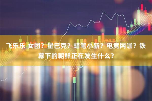 飞乐乐 女团？星巴克？蜡笔小新？电竞网咖？铁幕下的朝鲜正在发生什么？